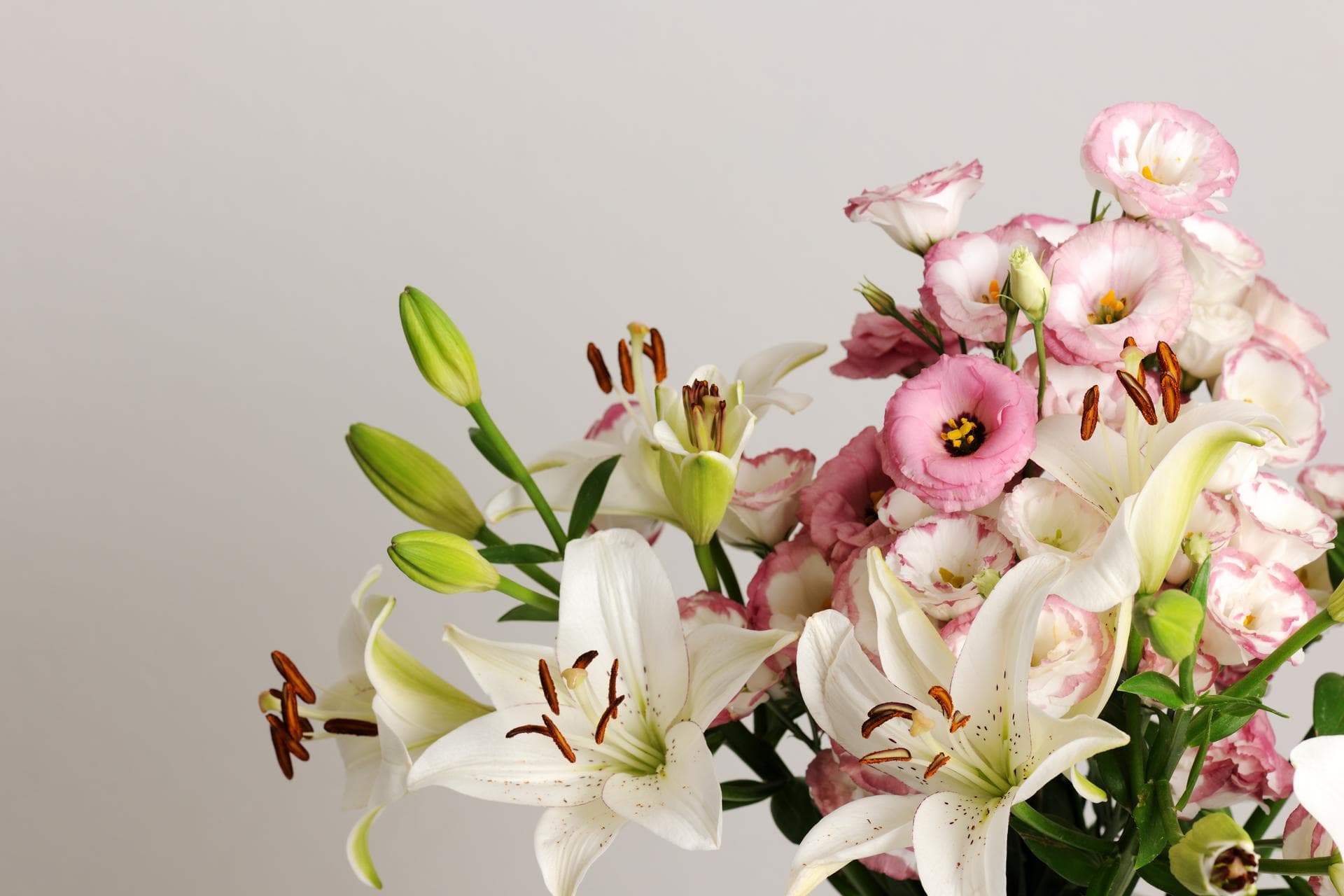 Send flowers that can be delivered the same day for any occasion. A local florist will provide your same-day flowers and gifts to you on time, and they will be there when you want them. To get same day flower delivery arrangements near you, order them today!
