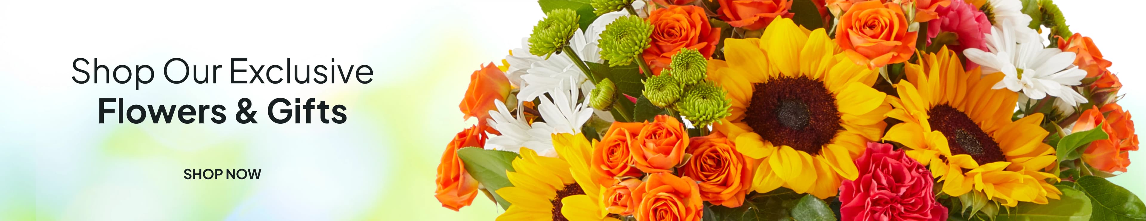 Store banner